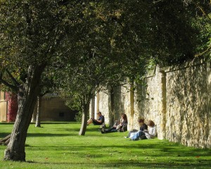 students reading in sun